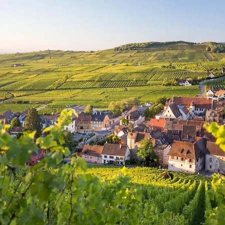 Apartamento Hyper Centre Et Gare *