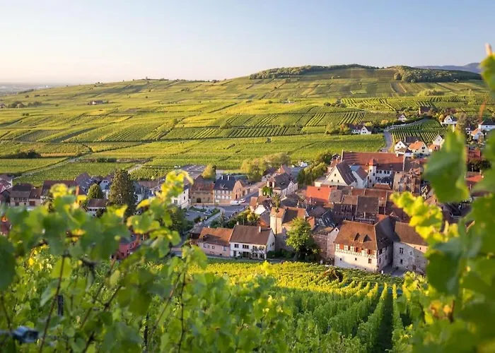 Apartament Hyper Centre Et Gare *