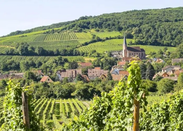 Hyper Centre Et Gare *