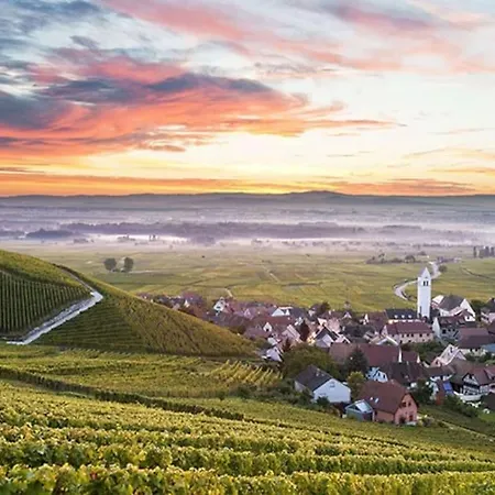 Appartamento Hyper Centre Et Gare Strasburgo