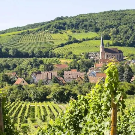 Hyper Centre Et Gare *